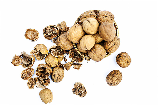 포토 JPG 해외이미지 길 음식 백그라운드 다이어트 과일 재료 자연 건조 건강 씨앗 사람없음 갈색 노란색 견과류 껍질 흰색 신선 오픈 그룹 닫기 정상 자르기 오브젝트 유기농 알맹이 날것 호두 흙더미 내추럴 고립 깨짐 해외포토 식물 웰빙 컬러 컨셉 모션 흙 생태계 파일형식 더미 이미지허브