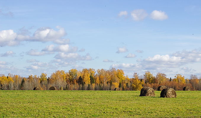 포토 JPG 해외이미지 계절 길 음식 여행 밭 농업 자연 하늘 사람없음 초록색 파란색 농작물 농장 농경지 노란색 쌓기 수확 시골 원형 황금 건초더미 볏짚 숲 큼 먹이 낟알 땅 밀 보리 롤 패키지 뭉치 내추럴 밭일 해외포토 도형 산업 컬러 모션 곡류 건초 짚 크기 생태계 파일형식 더미 이미지허브