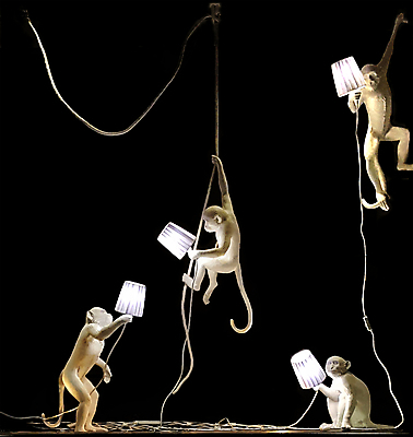 포토 JPG 해외이미지 동물 디자인 밧줄 백그라운드 자연 조명 매달리기 그림자 미술 서기 앉기 사람없음 장식 빛 노란색 검은색 전선 흰색 원숭이 4 그룹 황금 그늘 배열 장면 유인원 고립 해외포토 줄 컬러 포유류 모션 문화예술 숫자 생태계 파일형식 이미지허브