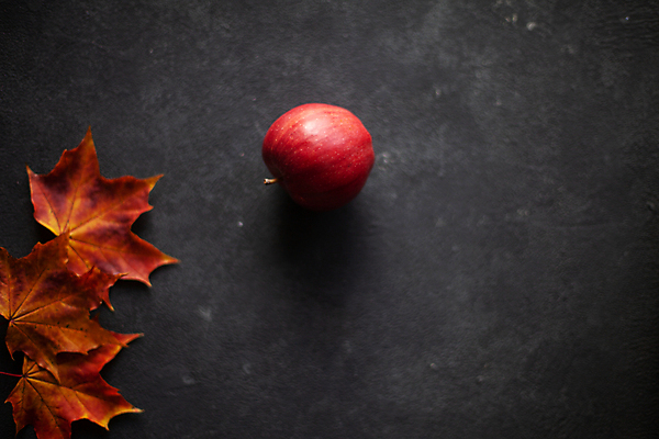 포토 JPG 해외이미지 나무 식물 계절 음식 컨셉 단풍 잎 캐나다 패턴 다이어트 오렌지 과일 텍스트 자연 건강 사람없음 빨간색 컬러풀 노란색 유행 우주 정원 어둠 주스 회색 수확 신선 맛 사과 숲 질감 시멘트 10월 내추럴 숙성 채식주의자 콘크리트 해외포토 음료 컬러 북아메리카 무늬 농업 날짜 생태계 채식 파일형식 이미지허브