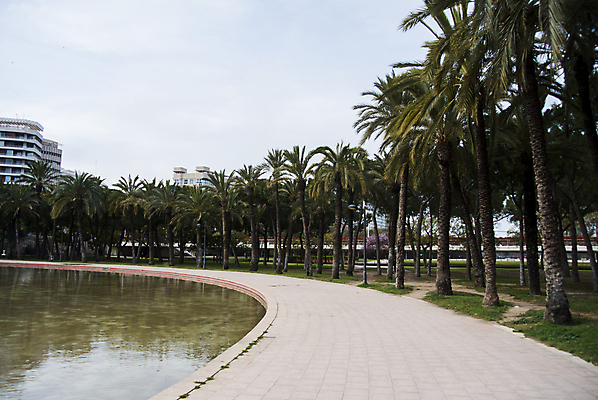 포토 JPG 해외이미지 나무 식물 디자인 공원 유럽 문화 길 여행 백그라운드 건축양식 자연 하늘 휴식 손바닥 미술 사람없음 야외 초록색 물 파란색 강 달리기 반사 흰색 도시 스페인 박물관 남쪽 발렌시아 스페인어 채널 해외포토 자연요소 손 공공시설 건축 나라 컬러 컨셉 모션 문화예술 방향 생태계 파일형식 이미지허브