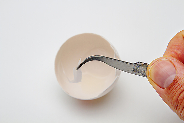 포토 JPG 해외이미지 동물 음식 백그라운드 다이어트 재료 자연 조류 부활절 건강 요리 사람없음 농장 갈색 노란색 계란 식사 치킨 껍질 흰색 신선 닫기 아침식사 상품 먹기 오브젝트 싱글 유기농 날것 노른자 내추럴 고립 단백질 삶기 생식 암탉 취급주의 해외포토 웰빙 기념일 컬러 농업 모션 경고 알 닭 암컷 생태계 닭고기요리 영양소 파일형식 이미지허브