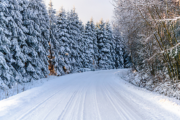 포토 JPG 해외이미지 나무 구름 계절 공원 도로 여행 백그라운드 크리스마스 겨울 교통시설 자연 하늘 날씨 산 파노라마 풍경 사람없음 야외 목재 파란색 빛 일출 맑음 냉동 얼음 추위 흰색 시골 숲 12월 속도 서리 장면 북쪽 온도 방법 눈내림 해외포토 자연요소 식물 공공시설 기념일 길 컬러 교통 재료 눈_날씨 촬영기법 노을 날짜 방향 시설 생태계 파일형식 이미지허브