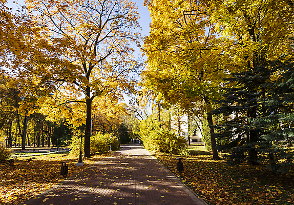 포토 JPG 해외이미지 주간 공원 단풍 낙엽 단풍나무 사람없음 야외 주황색 공원길 해외포토 자연요소 나무 공공시설 길 컬러 잎 파일형식 이미지허브