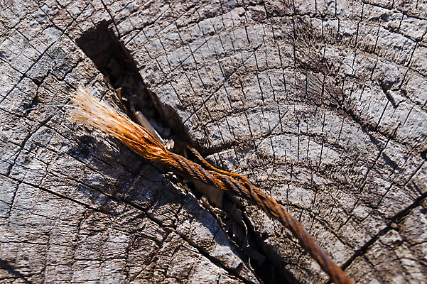 포토 JPG 해외이미지 나무 디자인 벽 백그라운드 패턴 자연 벽지 표면 날씨 추상 사람없음 목재 장식 울타리 갈색 어둠 손상 회색 수확 골동품 시골 판넬 거친 균열 널 낟알 묘사 질감 복고 내추럴 그런지 엘리먼트 옛날 중고 노화 해외포토 식물 컬러 컨셉 무늬 농업 재료 모션 담장 생태계 파일형식 이미지허브