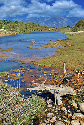 포토 JPG 해외이미지 공원 아시아 야생동물 자연 휴식 건강 국립공원 사람없음 초록색 물 강 환경 다양 신선 보호 생태계 생물학 네팔 서식지 내추럴 무료 보호구역 생태학 해외포토 자연요소 동물 공공시설 교육 나라 컬러 다수 컨셉 구역 파일형식 이미지허브