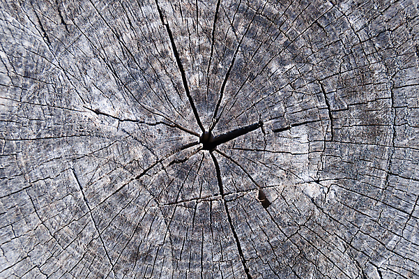 포토 JPG 해외이미지 나무 디자인 벽 백그라운드 패턴 자연 벽지 표면 날씨 추상 사람없음 목재 장식 울타리 갈색 어둠 손상 회색 수확 골동품 시골 판넬 거친 균열 널 낟알 묘사 질감 복고 내추럴 그런지 엘리먼트 옛날 중고 노화 해외포토 식물 컬러 컨셉 무늬 농업 재료 모션 담장 생태계 파일형식 이미지허브