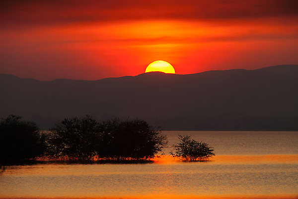 포토 JPG 해외이미지 계절 실루엣 벽 바다 여행 백그라운드 오렌지 자연 벽지 하늘 표면 휴가 산 풍경 사람없음 빨간색 물 여름 빛 강 컬러풀 햇빛 태양 뷰티 반사 노란색 걷기 일출 황혼 일몰 새벽 황금 야간 장면 내추럴 넘어짐 뿌연 수평선 해외포토 자연요소 컬러 과일 모션 촬영기법 노을 생태계 파일형식 이미지허브