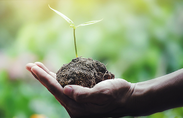 포토 JPG 해외이미지 나무 식물 손 지구 백그라운드 컨셉 잎 농업 자연 새로움 건강 씨앗 사람 사람없음 초록색 세계 환경 흙 봄 행성 에너지 성장 신선 보호 작음 에코 생태계 원예 생물학 바둑 리빙 유지 개발 돌봄 모종 바이오 생태학 해외포토 계절 교육 산업 컬러 모션 놀이 취미 신체부위 우주 크기 파일형식 이미지허브