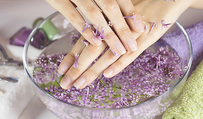 포토 JPG 해외이미지 손 꽃 관리 신체부위 물 수건 스파 화려 소중 아로마테라피 해외포토 자연요소 식물 컨셉 사람 위생용품 테라피 파일형식 이미지허브