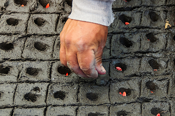 포토 JPG 해외이미지 식물 전통 남자 문화 지구 잎 밭 농업 자연 아침 씨앗 사람 풍경 사람없음 여름 농작물 농장 새싹 일출 환경 정원 흙 봄 수확 성장 시골 신선 작업 농부 유기농 원예 질감 조경 먼지 장면 땅바닥 모종 묘목 밭일 해외포토 주간 나무 직업 웰빙 계절 산업 바닥 취미 노을 생태계 파일형식 이미지허브