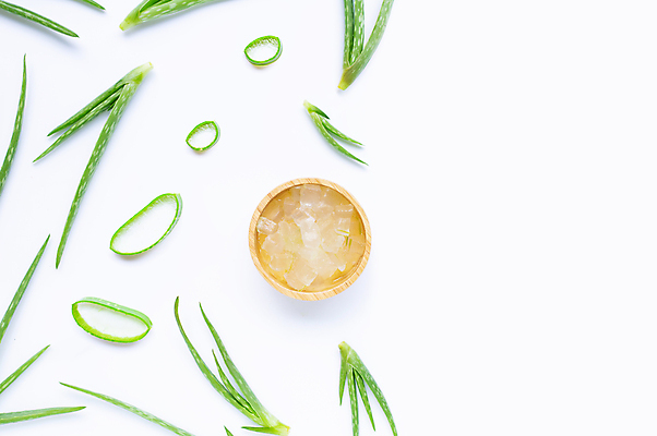 포토 JPG 해외이미지 스튜디오촬영 단면 실내 사람없음 하이앵글 뷰티 흰배경 나무그릇 알로에 해외포토 식물 그릇 뷰포인트 백그라운드 내부 목재 흰색 파일형식 이미지허브