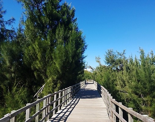 포토 JPG 해외이미지 나무 길 자국 사람없음 야외 목재 산책로 철책 해외포토 식물 재료 파일형식 이미지허브