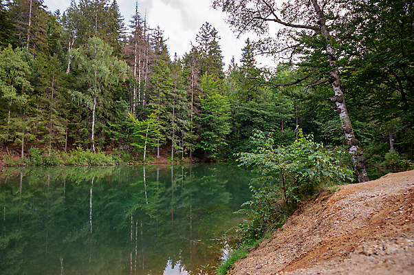 포토 JPG 해외이미지 나무 계절 공원 호수 여행 백그라운드 잎 자연 수채화 산 국립공원 풍경 사람없음 야외 목재 초록색 물 여름 컬러풀 뷰티 반사 하이킹 소나무 숲 폴란드 터키석 해외포토 자연요소 식물 공공시설 유럽 컬러 재료 레저 보석 생태계 파일형식 이미지허브
