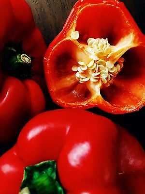 포토 JPG 해외이미지 단면 파프리카 근접촬영 사람없음 샐러드 슬라이스 해외포토 음식 뷰포인트 채소 파일형식 이미지허브