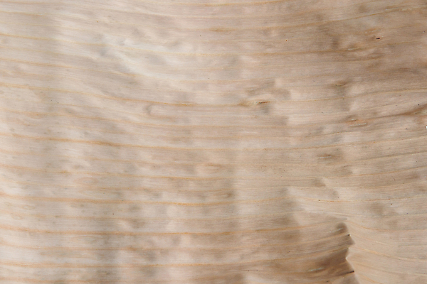 포토 JPG 해외이미지 나무 식물 디자인 백그라운드 잎 패턴 태국 자연 벽지 표면 추상 건조 바나나 사람없음 야외 목재 초록색 여름 갈색 노란색 환경 정원 봄 공백 나뭇가지 죽음 신선 질병 숲 묘사 유기농 질감 내추럴 숙성 옛날 이국적 해외포토 웰빙 계절 아시아 컬러 무늬 과일 재료 의학 생태계 파일형식 이미지허브