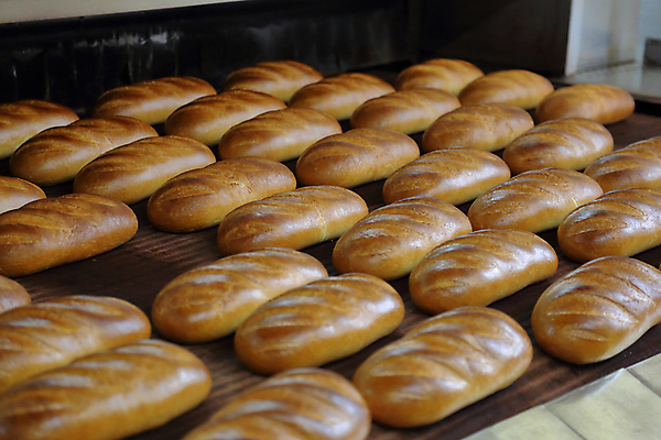 포토 JPG 해외이미지 빵 공장 실내 사람없음 여러개 일렬 많음 해외포토 음식 다수 컨셉 공업 내부 파일형식 이미지허브