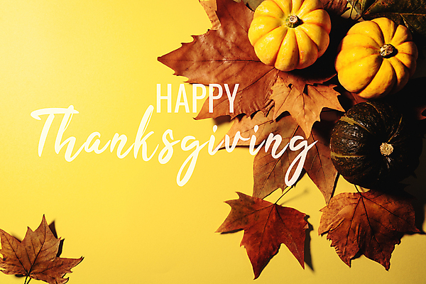 포토 JPG 해외이미지 전통 디자인 계절 행복 음식 백그라운드 잎 농업 채소 오렌지 텍스트 자연 탁자 호박 휴가 전등 사람없음 목재 장식 노란색 파티 축제 견과류 수확 가을 시골 축하 인사 신용카드 메시지 정상 11월 사인 주기 감사 위치 추수감사절 해외포토 나무 식물 감정 산업 기독교 컬러 가구 컨셉 과일 재료 모션 조명 이벤트 금융 예절 날짜 생태계 파일형식 이미지허브