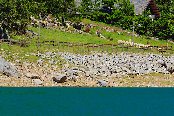 포토 JPG 해외이미지 나무 공원 호수 여행 자연 산 주택 풍경 경사 사람없음 야외 초록색 이탈리아 산책 소나무 큼 그림 암초 전국 찰과상 파라다이스 해외포토 식물 공공시설 유럽 컬러 휴식 건물 상처 크기 생태계 파일형식 이미지허브