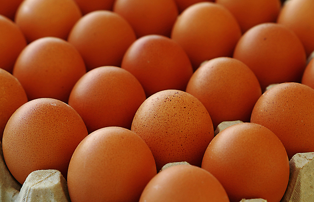 포토 JPG 해외이미지 음식 재료 쟁반 사람없음 상자 갈색 세일 우주 치킨 신선 시장 닫기 선택 농부 컨테이너 배열 각도 소매 줄서기 많음 해외포토 직업 산업 컬러 컨셉 모션 닭고기요리 파일형식 이미지허브