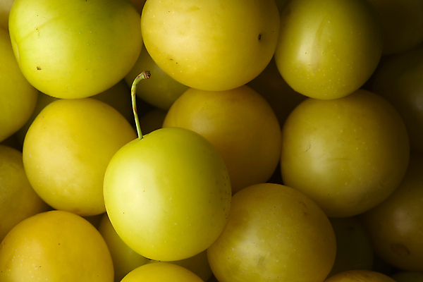 포토 JPG 해외이미지 계절 음식 줄기 백그라운드 채소 과일 건강 종류 그림자 사람없음 노란색 쌓기 정원 수확 신선 원형 체리 닫기 선택 달콤 맛 인스턴트 먹기 가득함 준비 유기농 질감 소재 자두 흙더미 건강식 숙성 정물화 많음 강조 해외포토 도형 식물 웰빙 컬러 컨셉 농업 모션 흙 그림 파일형식 더미 이미지허브