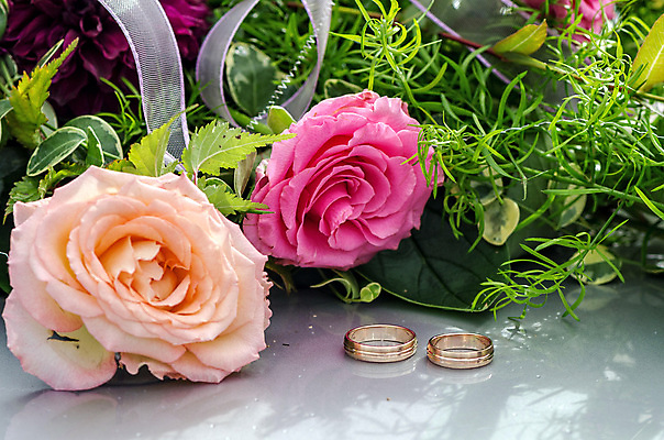 포토 JPG 해외이미지 커플 꽃 행복 결혼 백그라운드 2 관계 자연 결혼식 함께함 사랑 사람없음 빨간색 장미 흰색 축하 반지 쌍 황금 보석 심볼 약혼 해외포토 식물 감정 컬러 컨셉 장신구 이벤트 광석 생태계 약속 파일형식 이미지허브