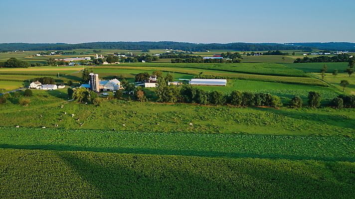 포토 JPG 해외이미지 나무 식물 계절 산업 음식 잎 밭 농업 자연 하늘 안테나 옥수수 사람없음 야외 초록색 파란색 농작물 태양 농장 농경지 일출 환경 일몰 봄 수확 성장 시골 낟알 땅 밀 유기농 장면 내추럴 외양간 드론 밭일 줄서기 세련 해외포토 자연요소 웰빙 컬러 통신 모션 곡류 노을 생태계 파일형식 이미지허브