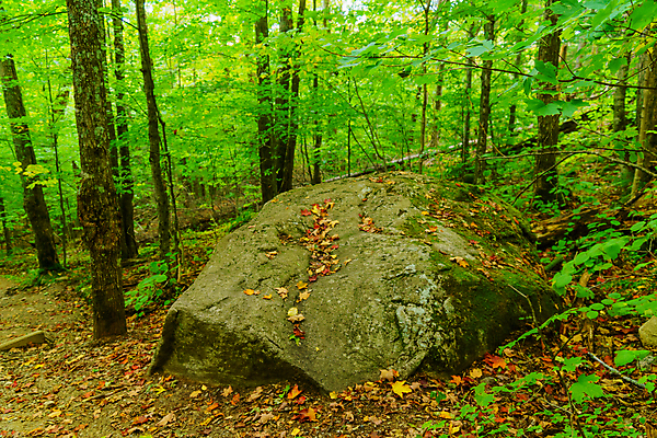 포토 JPG 해외이미지 나무 식물 계절 공원 여행 잎 캐나다 북아메리카 오렌지 자국 자연 산 국립공원 풍경 사람없음 야외 빨간색 초록색 컬러풀 뷰티 노란색 미국 침묵 가을 시골 황금 숲 장면 내추럴 전국 해외포토 공공시설 컬러 과일 아메리카 소리 생태계 파일형식 이미지허브
