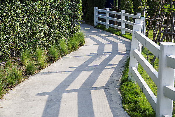 포토 JPG 해외이미지 나무 식물 공원 도로 길 곡선 자연 벽돌 풍경 사람없음 야외 목재 초록색 여름 울타리 정원 맑음 산책 바위 오솔길 내추럴 뒤뜰 방법 해외포토 계절 공공시설 선 컬러 재료 교통시설 날씨 휴식 담장 돌_바위 생태계 파일형식 이미지허브