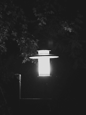 포토 JPG 해외이미지 나무 커플 얼굴 백그라운드 인터넷 텍스트 거리 흑백 사람 앉기 사람없음 야외 검은색 어둠 방 기차 흰색 도시 사인 경영 고립 옛날 해외포토 식물 육상교통 컬러 비즈니스 관계 모션 대중교통 촬영기법 신체부위 파일형식 이미지허브