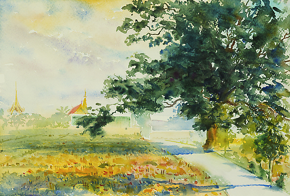 JPG 해외이미지 나무 길 일러스트 수채화 사람없음 여름 시골 그림 풍경화 해외일러스트 식물 계절 파일형식 이미지허브