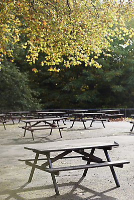 포토 JPG 해외이미지 주간 나무 공원 가구 벤치 의자 탁자 영국 사람없음 야외 목재 침묵 런던 해외포토 자연요소 식물 공공시설 유럽 생활용품 재료 소리 파일형식 이미지허브