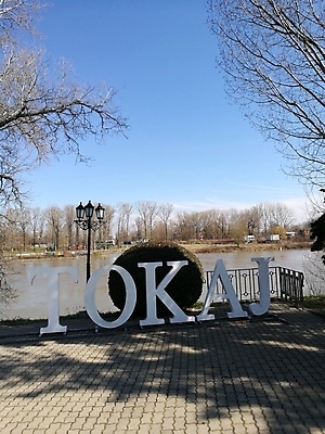 포토 JPG 해외이미지 나무 손 공원 얼굴 음식 백그라운드 인터넷 벤치 텍스트 가족 하늘 거리 서기 사람 앉기 사람없음 야외 건물 물 울타리 강 사무실 유행 방 흰색 큼 책상 사인 경영 고립 그만 해외포토 자연요소 식물 건축물 공공시설 컬러 가구 의자 비즈니스 관계 모션 신체부위 담장 크기 파일형식 이미지허브