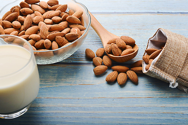 포토 JPG 해외이미지 실내 사람없음 우유 견과류 아몬드 해외포토 유제품 내부 파일형식 이미지허브