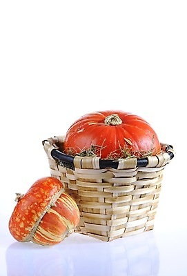 포토 JPG 해외이미지 사람없음 할로윈 해외포토 파일형식 이미지허브