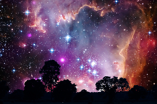 포토 JPG 해외이미지 나무 식물 교육 별 과학 백그라운드 밭 오렌지 하늘 추상 미래 산 사람없음 그래픽 파란색 빛 컬러풀 세계 태양 지구본 우주 일출 보라색 방 행성 에너지 탐험 외계인 시골 야간 숲 폭발 땅 언덕 그림 은하계 시스템 성운 엘리먼트 초신성 해외포토 자연요소 컬러 컨셉 무늬 농업 과일 노을 미확인물체 파일형식 이미지허브