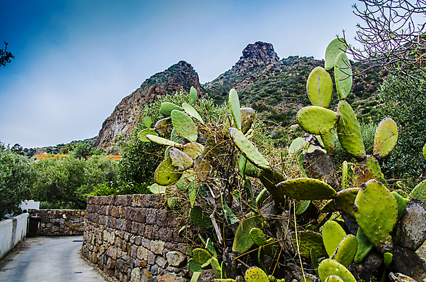 포토 JPG 해외이미지 식물 전통 라이프스타일 유럽 바다 섬 여행 자연 하늘 휴가 산 거리 선인장 항해 파노라마 사람없음 초록색 물 파란색 태양 평화 이탈리아 뜨거움 숲 크루즈 지중해 언덕 화산 내추럴 방법 이국적 해외포토 자연요소 나라 컬러 컨셉 배_교통 촬영기법 생활 생태계 파일형식 이미지허브