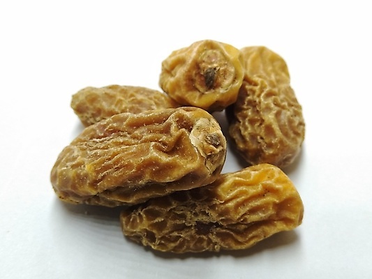 포토 JPG 해외이미지 사람없음 견과류 대추 호두 아몬드 모음 자두 건과일 무화과 건포도 단백질 살구 캐슈넛 크랜베리 개암 비건 해외포토 열매 과일 포도 건조 영양소 채식주의자 파일형식 이미지허브