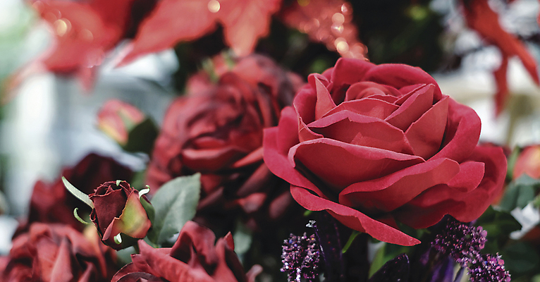 포토 JPG 해외이미지 식물 꽃잎 꽃 결혼 백그라운드 잎 꽃무늬 자연 벽지 결혼식 휴가 발렌타인데이 사랑 사람없음 장식 빨간색 초록색 빛 뷰티 장미 정원 꽃병 봄 벚꽃 흰색 축하 직물 신선 신용카드 냄비 보케 내추럴 2월 거짓 스타일 카피스페이스 해외포토 계절 감정 컬러 컨셉 무늬 데이이벤트 이벤트 금융 공백 날짜 솥 생태계 파일형식 이미지허브