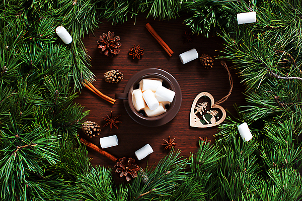 포토 JPG 해외이미지 나무 계절 커피 음료 음식 백그라운드 크리스마스 겨울 탁자 휴가 디저트 새로움 기념 프레임 선물 사람없음 목재 장식 컵 빨간색 초록색 갈색 축제 머그컵 흰색 나뭇가지 시골 축하 소나무 뜨거움 신용카드 달콤 연도 전나무 원뿔 마시멜로우 시나몬 옛날 핸드메이드 가문비나무 카피스페이스 해외포토 도형 식물 식기 기념일 컬러 가구 컨셉 재료 금융 공백 맛 파일형식 이미지허브