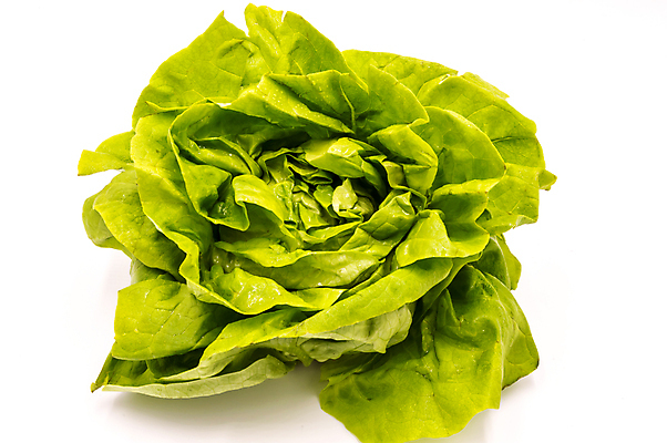 포토 JPG 해외이미지 접시 음식 백그라운드 잎 다이어트 채소 건강 사람없음 초록색 주방 보라색 저녁식사 샐러드 신선 잡기 사발 떨어짐 상추 먹기 흰배경 유기농 라임 섬유 점심식사 고립 숙성 채식주의자 비건 해외포토 식물 식기 웰빙 컬러 컨셉 과일 모션 식사 흰색 직물 사기그릇 채식 파일형식 이미지허브