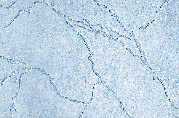 포토 JPG 해외이미지 템플릿 디자인 배너 포스터 벽 백그라운드 크리스마스 겨울 패턴 벽지 표면 추상 미술 사람없음 장식 빨간색 파란색 컬러풀 어둠 페인트 공백 회색 추위 시골 신용카드 거친 낟알 남색 고민 청록색 해군 광 석고 울퉁불퉁 카피스페이스 해외포토 계절 기념일 감정 컬러 무늬 문화예술 군대 금융 파일형식 이미지허브