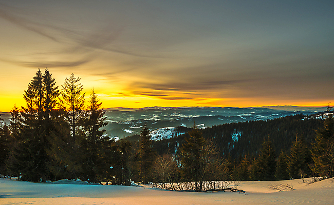 포토 JPG 해외이미지 나무 계절 유럽 여행 백그라운드 겨울 자연 하늘 휴가 산 파노라마 사람없음 야외 파란색 뷰티 우주 환경 냉동 얼음 황혼 일몰 하이킹 추위 흰색 시골 야간 숲 신비 서리 북쪽 내추럴 산악지대 절정 폭설 눈내림 가문비나무 해외포토 자연요소 식물 나라 컬러 컨셉 레저 눈_날씨 촬영기법 노을 자연재해 방향 생태계 파일형식 이미지허브