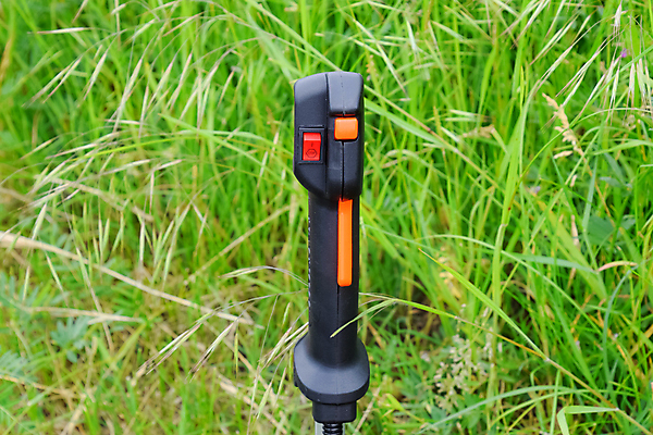 포토 JPG 해외이미지 식물 1 계절 포즈 오렌지 모션 손잡이 사람 잔디 사람없음 야외 초록색 여름 울타리 장비 흰색 공구 잡기 뜨거움 칼날 휘발유 소프트포커스 위험 자르기 조종장치 철강 힘찬 유일 해외포토 컬러 컨셉 과일 촬영기법 담장 도구 석유 파일형식 이미지허브