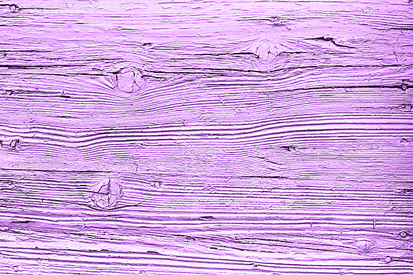 포토 JPG 해외이미지 디자인 벽 백그라운드 패턴 탁자 표면 날씨 추상 바닥 사람없음 목재 보라색 페인트 수확 시골 거친 그리기 널 제비꽃 질감 복고 잡동사니 내추럴 그런지 수목 옛날 합판 해외포토 나무 꽃 컬러 가구 무늬 농업 재료 모션 파일형식 이미지허브