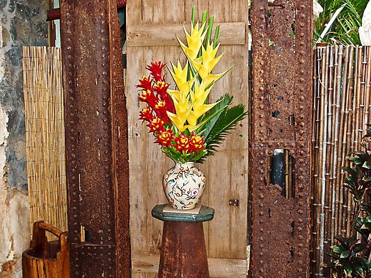 포토 JPG 해외이미지 식물 꽃 꽃무늬 사람없음 빨간색 초록색 노란색 해외포토 컬러 무늬 파일형식 이미지허브