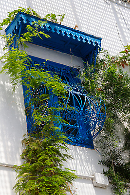 포토 JPG 해외이미지 식물 전통 벽 여행 건축양식 창문 아프리카 자연 주택 사람없음 야외 건물 초록색 여름 파란색 맑음 바위 흰색 도시 역사 내추럴 옛날 튀니지 해외포토 건축물 계절 건축 나라 컬러 날씨 돌_바위 생태계 파일형식 이미지허브