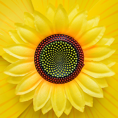 포토 JPG 해외이미지 식물 모델 디자인 꽃 백그라운드 잎 꽃무늬 패턴 표면 추상 해바라기 사람없음 컬러풀 장난감 태양 노란색 미니어처 벚꽃 개화 플라스틱 묘사 오브젝트 질감 거짓 인공 해외포토 자연요소 컬러 무늬 재질 모형 파일형식 이미지허브