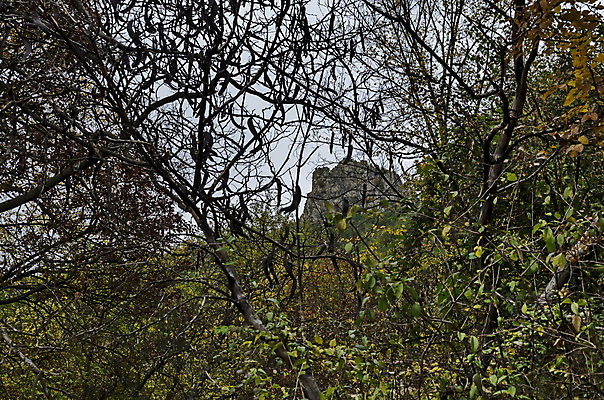 포토 JPG 해외이미지 나무 식물 계절 여행 백그라운드 단풍 낙엽 잎 오렌지 자연 하늘 산 건조 풍경 사람없음 야외 빨간색 초록색 빛 컬러풀 노란색 환경 활발 가을 성 중세 숲 언덕 침엽수 내추럴 강렬 발칸반도 불가리아 웅장함 절정 환상 해외포토 건축물 컬러 컨셉 과일 역사 생태계 파일형식 남유럽 이미지허브