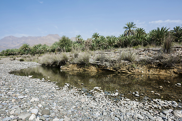 포토 JPG 해외이미지 나무 전통 여행 2 중동 자연 하늘 휴가 산 건조 파노라마 손바닥 풍경 사람없음 초록색 물 파란색 강 야자수 걷기 정원 탐험 시골 농부 장면 암초 아랍어 그리너리 해외포토 자연요소 식물 직업 손 나라 컬러 모션 촬영기법 생태계 파일형식 트랜드컬러 이미지허브